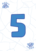 blue 5
